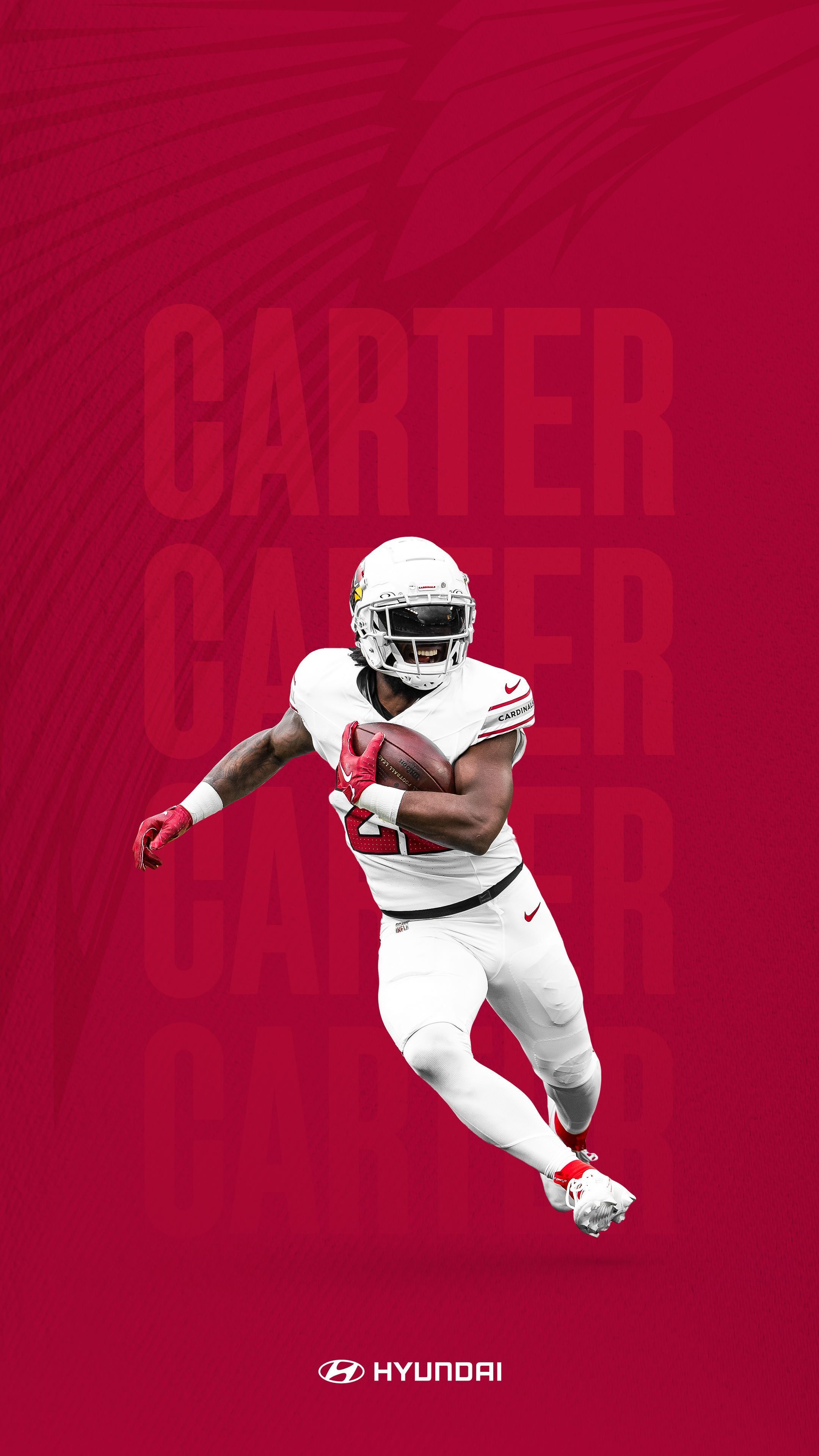 2160x3840 Arizona Cardinals Photo