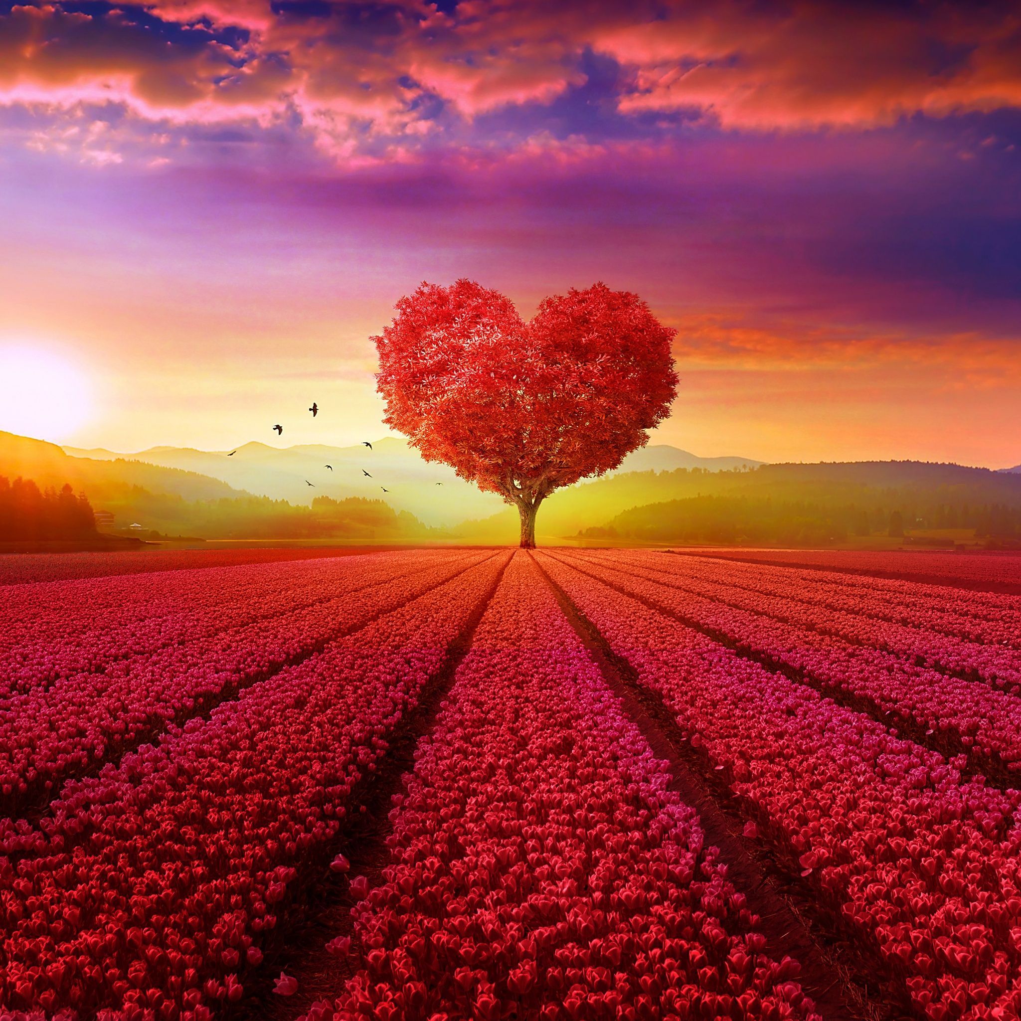 2048x2048 Heart tree Wallpaper 4K, Flower garden, Red flowers