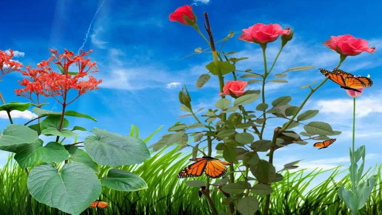 Glowing Flowers Live Wallpaper  Free download and software reviews  CNET  Download
