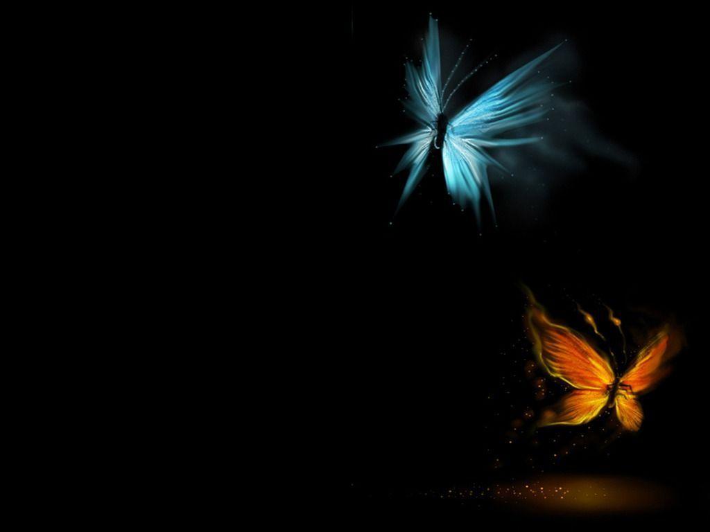 Butterfly Black Wallpapers Top Free Butterfly Black Backgrounds Wallpaperaccess
