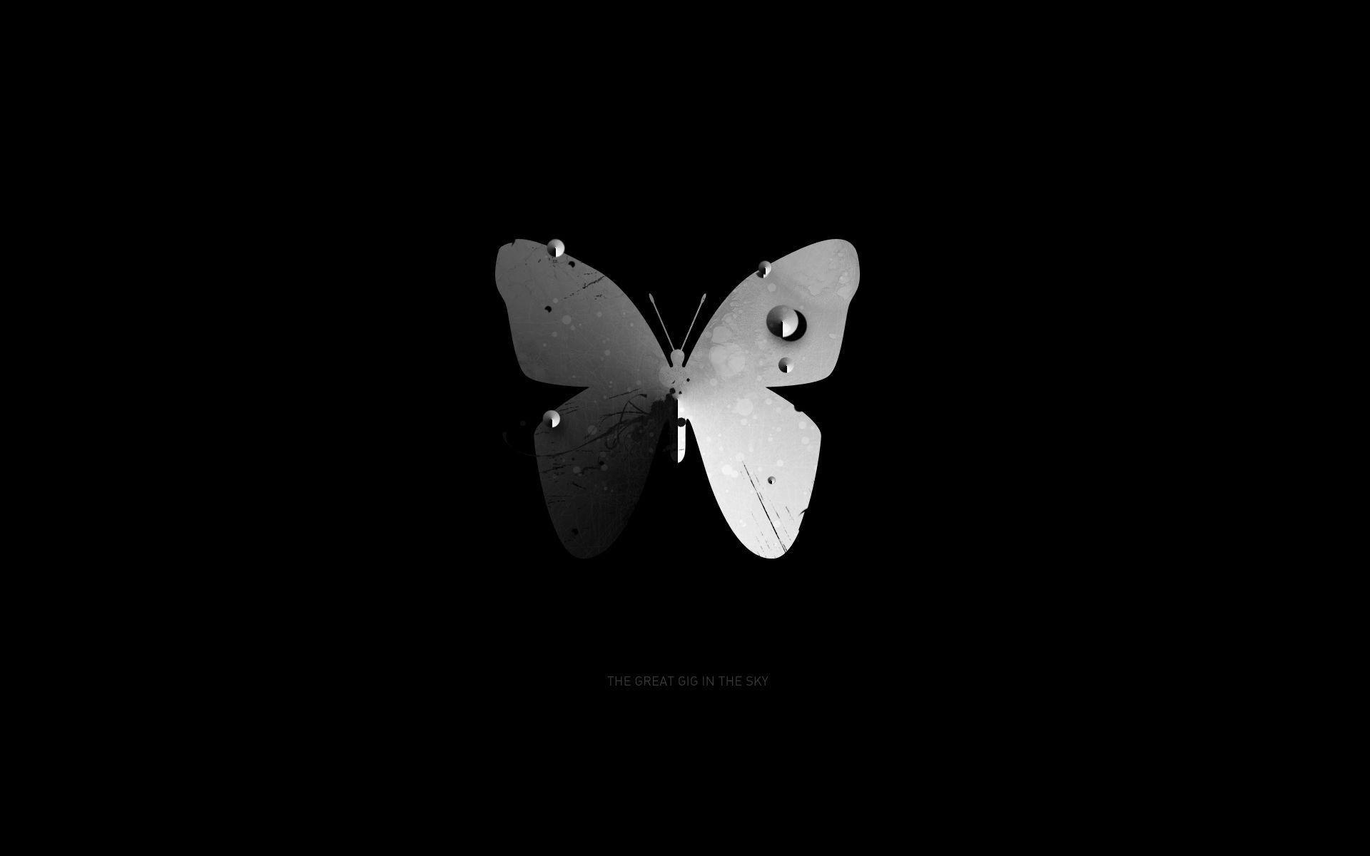 View Butterfly Wallpaper Black And White Background - HD INTERIOR IMAGE