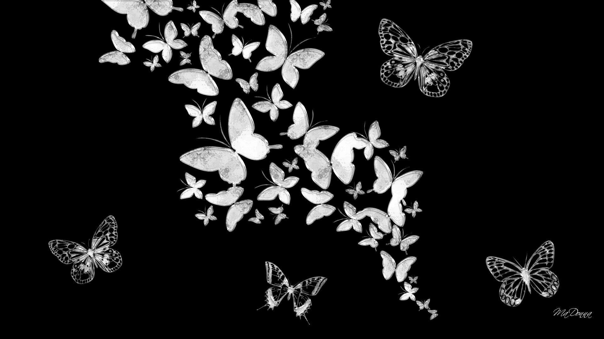 Hình nền con bướm 1920x1080 Hình nền đen và trắng