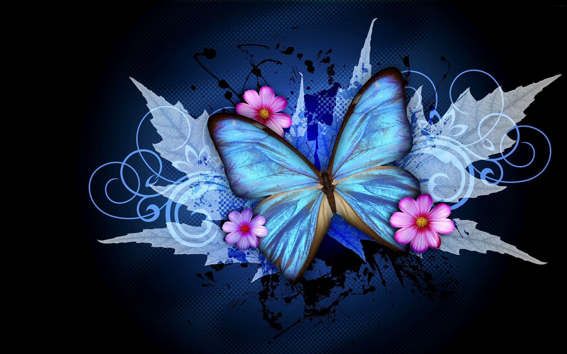 Black Butterfly Wallpaper Images  Free Photos PNG Stickers Wallpapers   Backgrounds  rawpixel