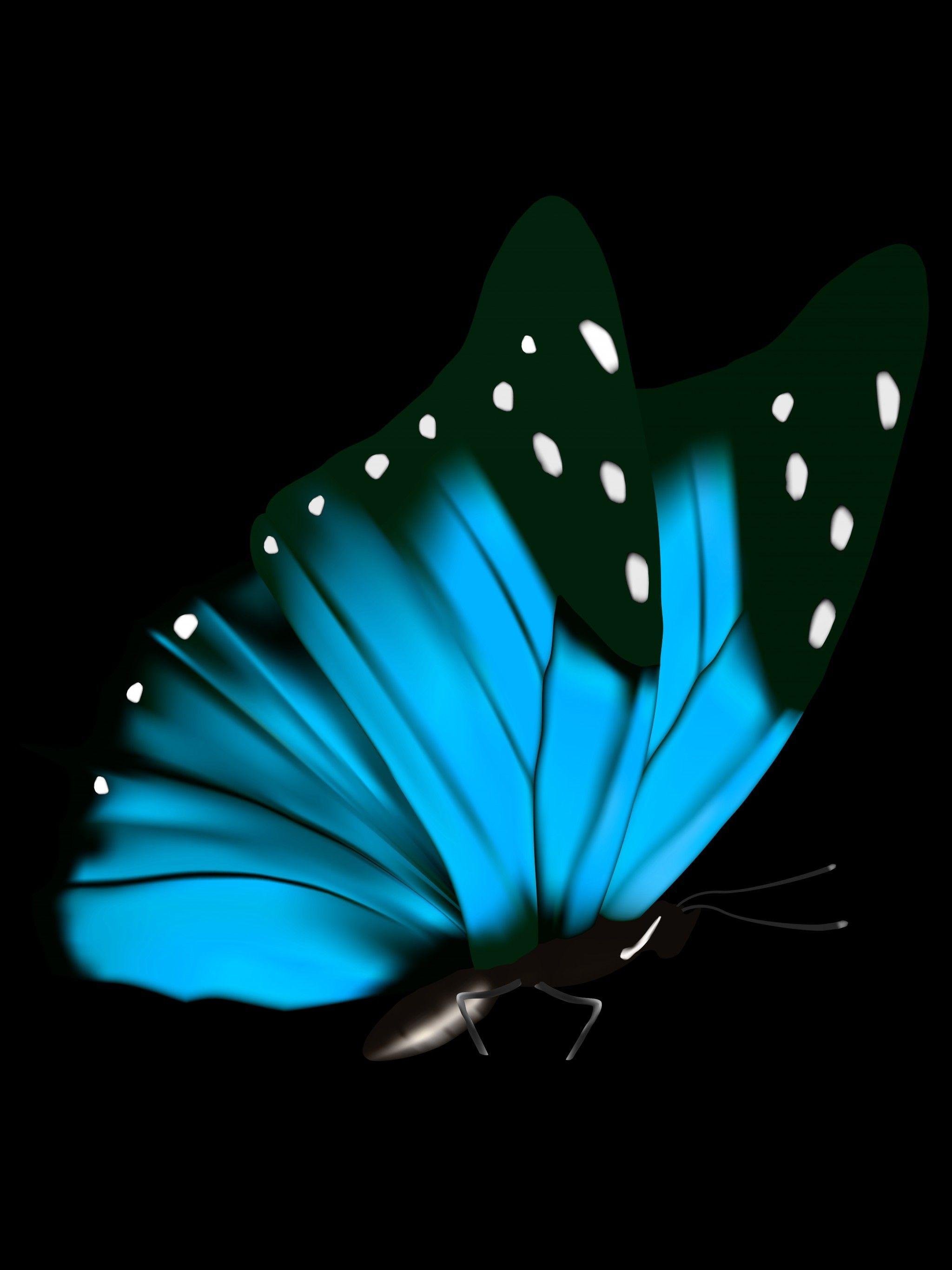 Hình nền con bướm đen 2048x2732