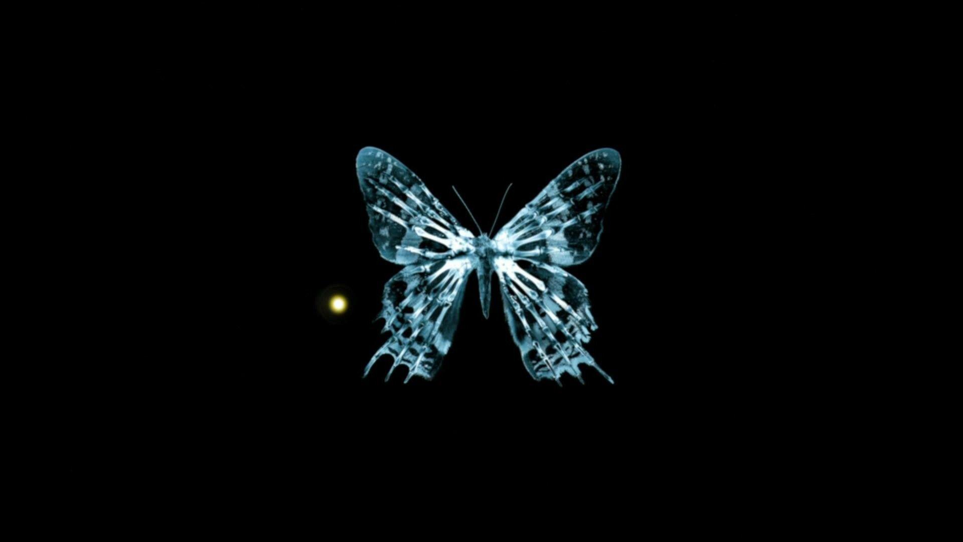 Dark Butterfly Wallpapers - Top Free Dark Butterfly Backgrounds