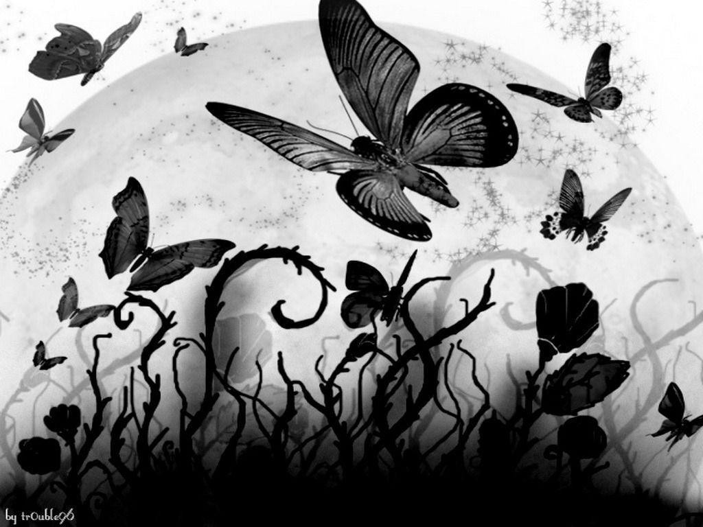 1024x768 dark butterfly wallpaper