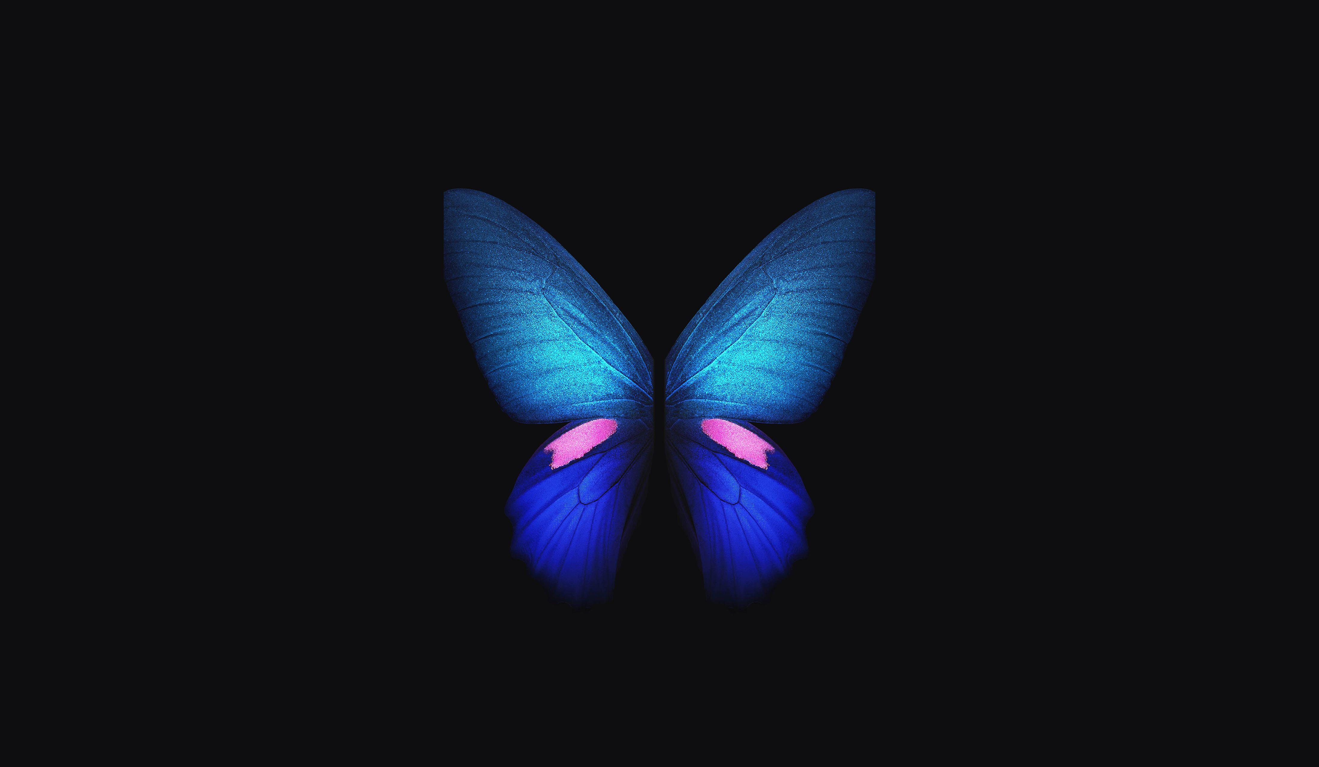 Hình nền 4400x2560 Samsung Galaxy Fold, Màu xanh da trời, Con bướm, Cổ phiếu, 4K
