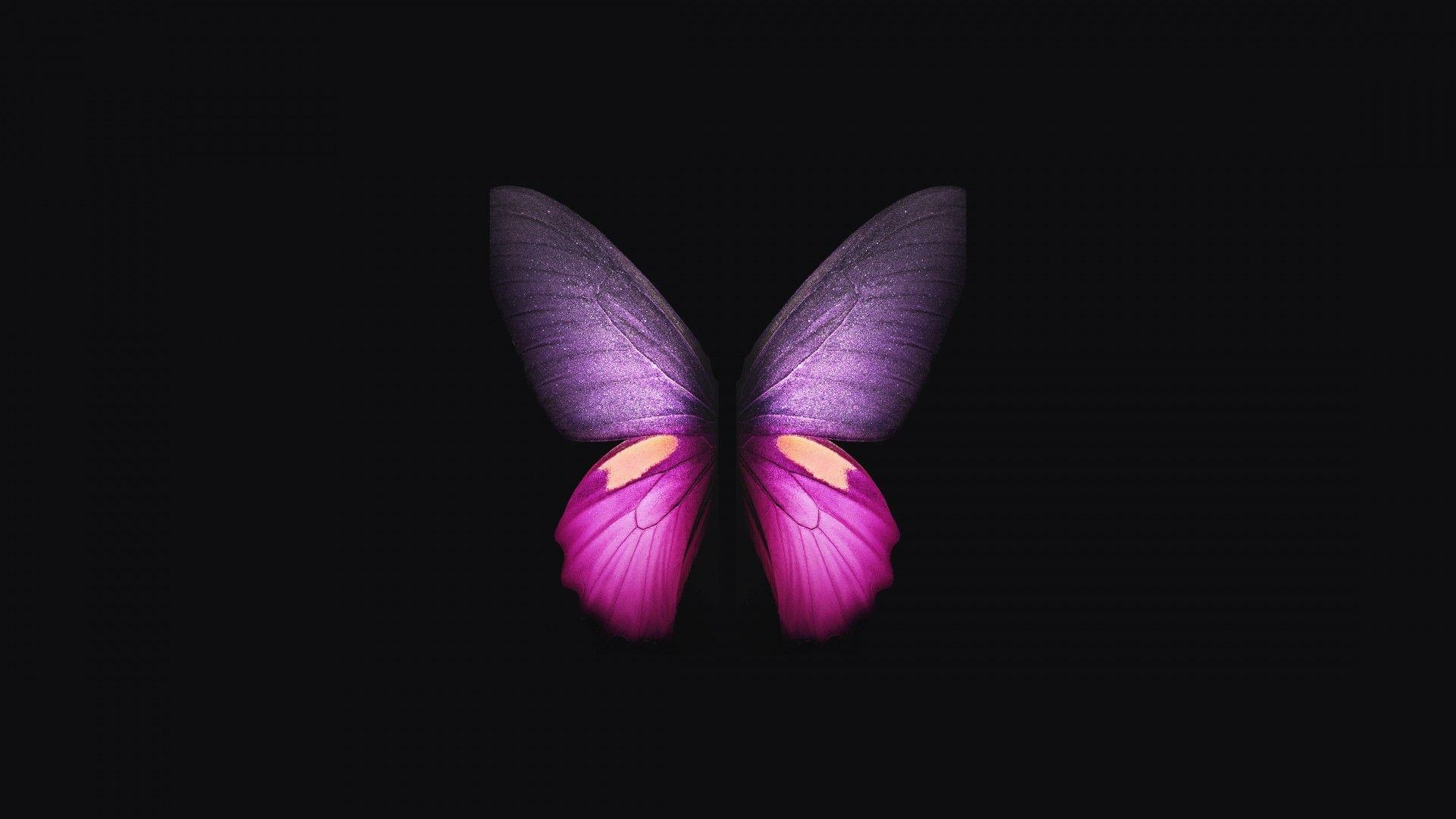 1920x1080 Hình nền Samsung Galaxy Fold, Hồng, Màu tím, con bướm