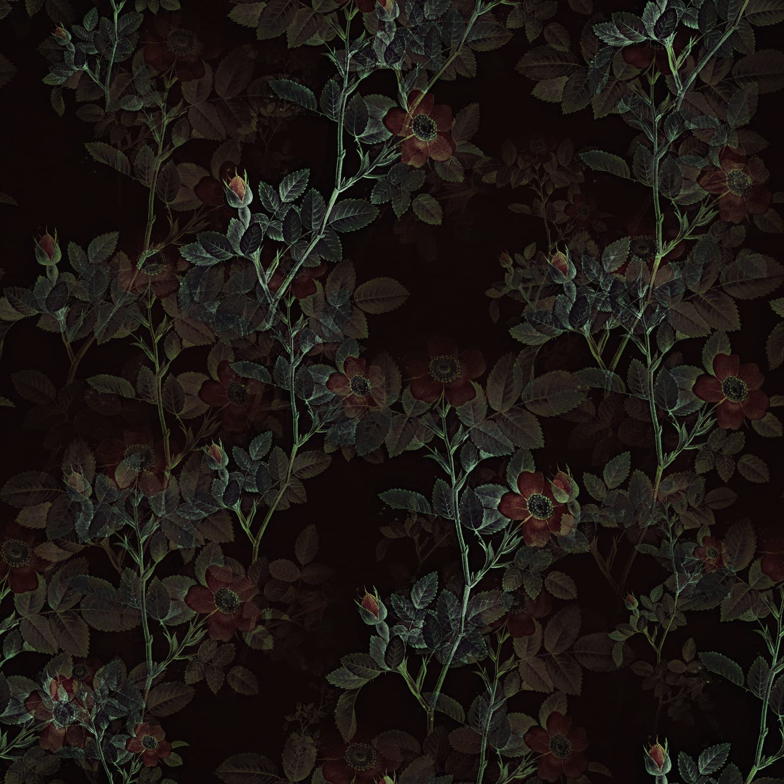1601x1601 Skyblur Vintage Dark Floral Wallpaper
