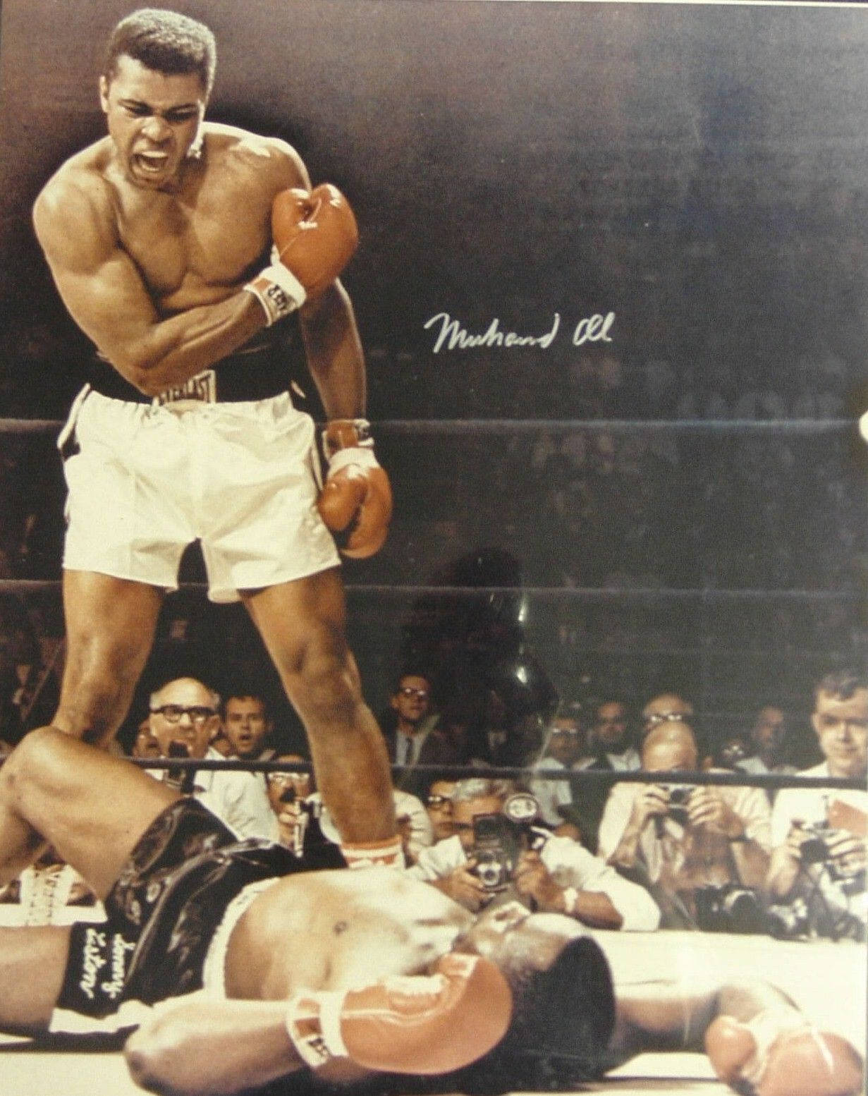 1231x1554 Download free Muhammad Ali In Sepia
