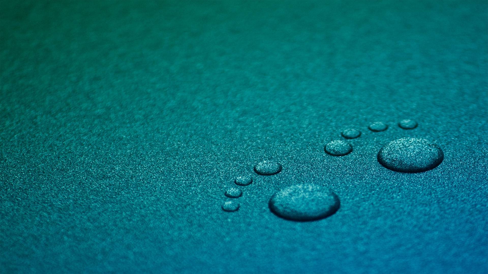 1920x1080 Hd Wallpaper Tech Wallpaper Bug 1920x1080 Wallpaper