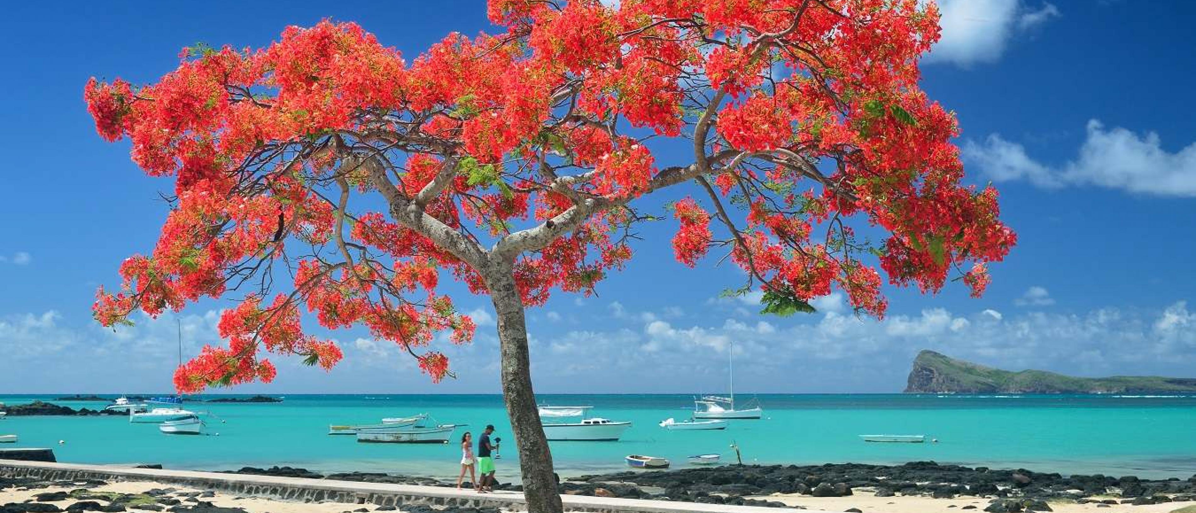3800x1630 Visit the island of Mauritius Mauritius tourism