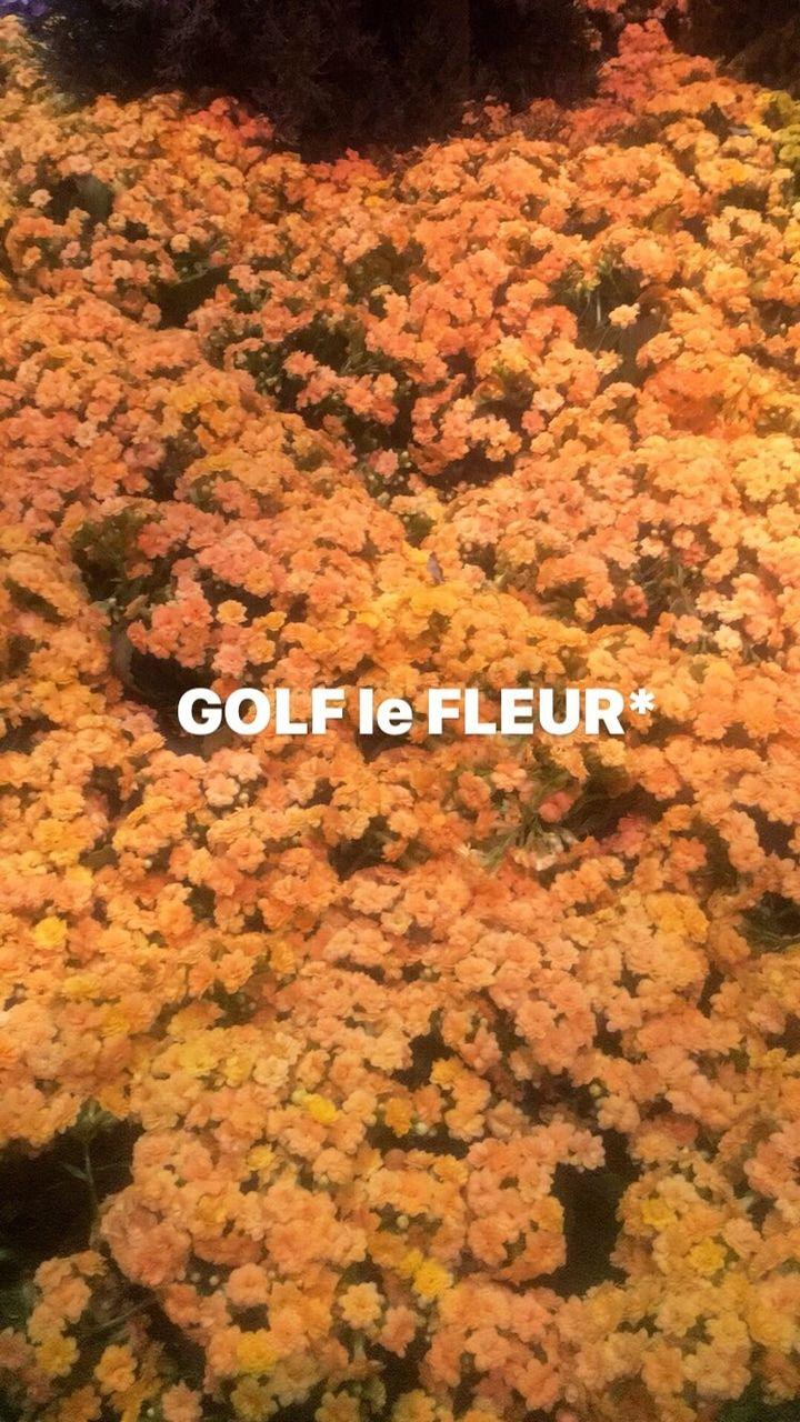 made the wallpaper again with a more le FLEUR vibe to it  rGolfwang