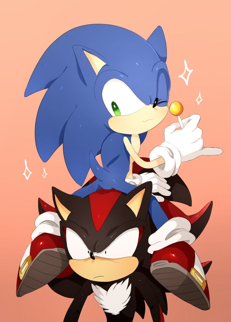 919x1280 Sonic and shadow, Hedgehog art