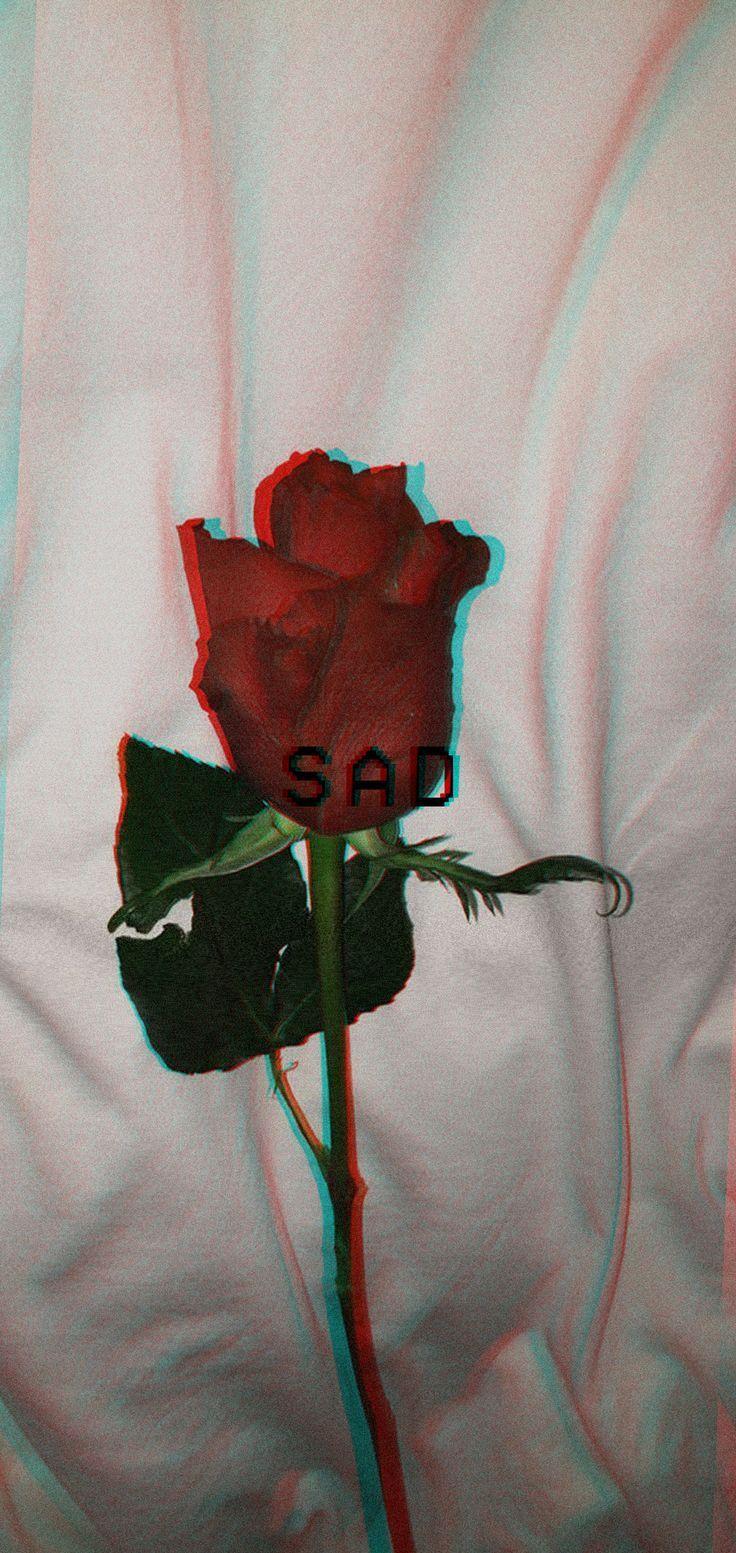 Sad Rose Aesthetic Wallpapers Top Free Sad Rose Aesthetic Backgrounds Wallpaperaccess