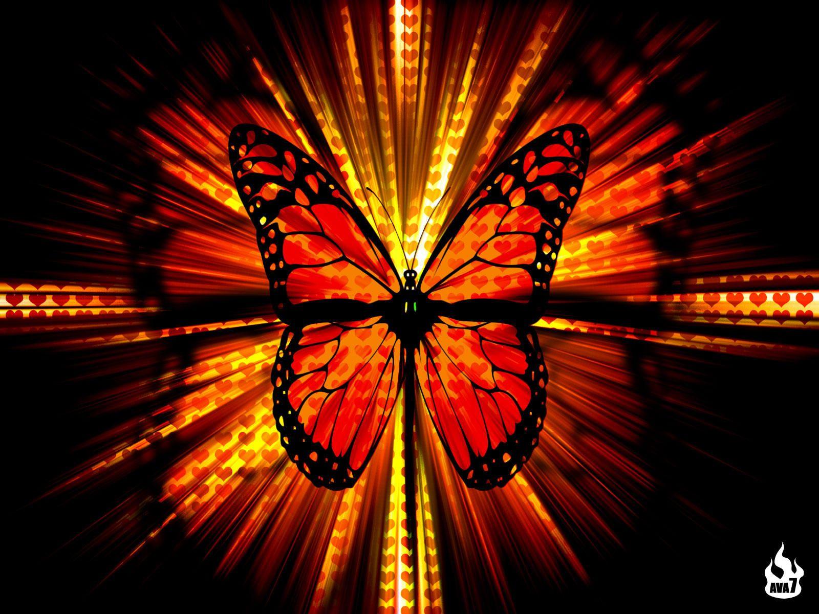 Orange Butterfly Wallpapers - Top Free Orange Butterfly Backgrounds