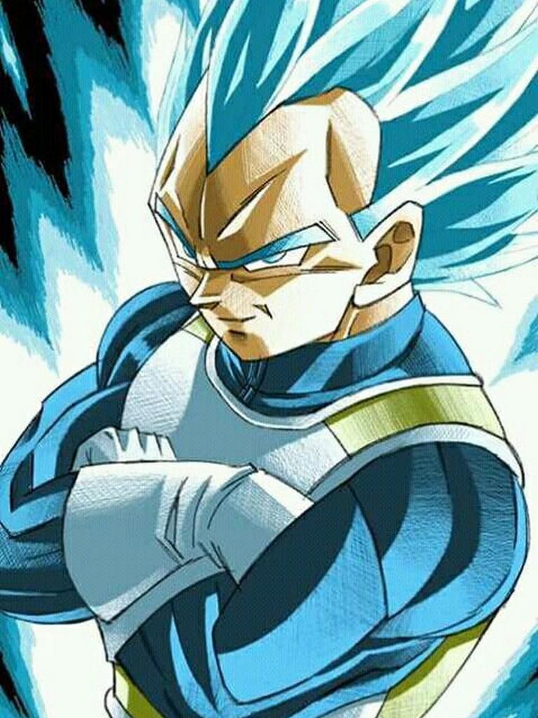 768x1024 Vegeta Super Saiyan God Blue Wallpaper for Android
