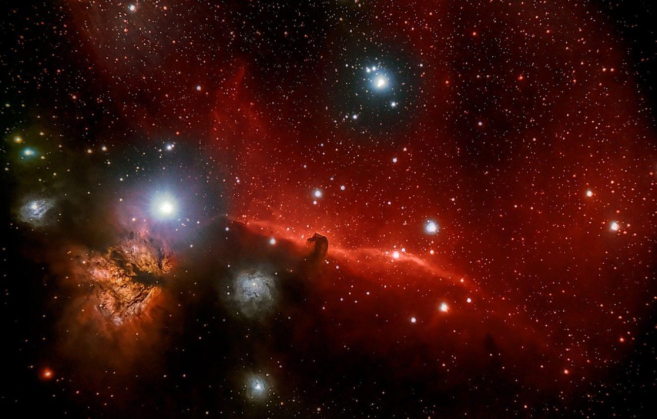 1332x850 Wallpaper Horse Head, Orion, in the constellation, dark