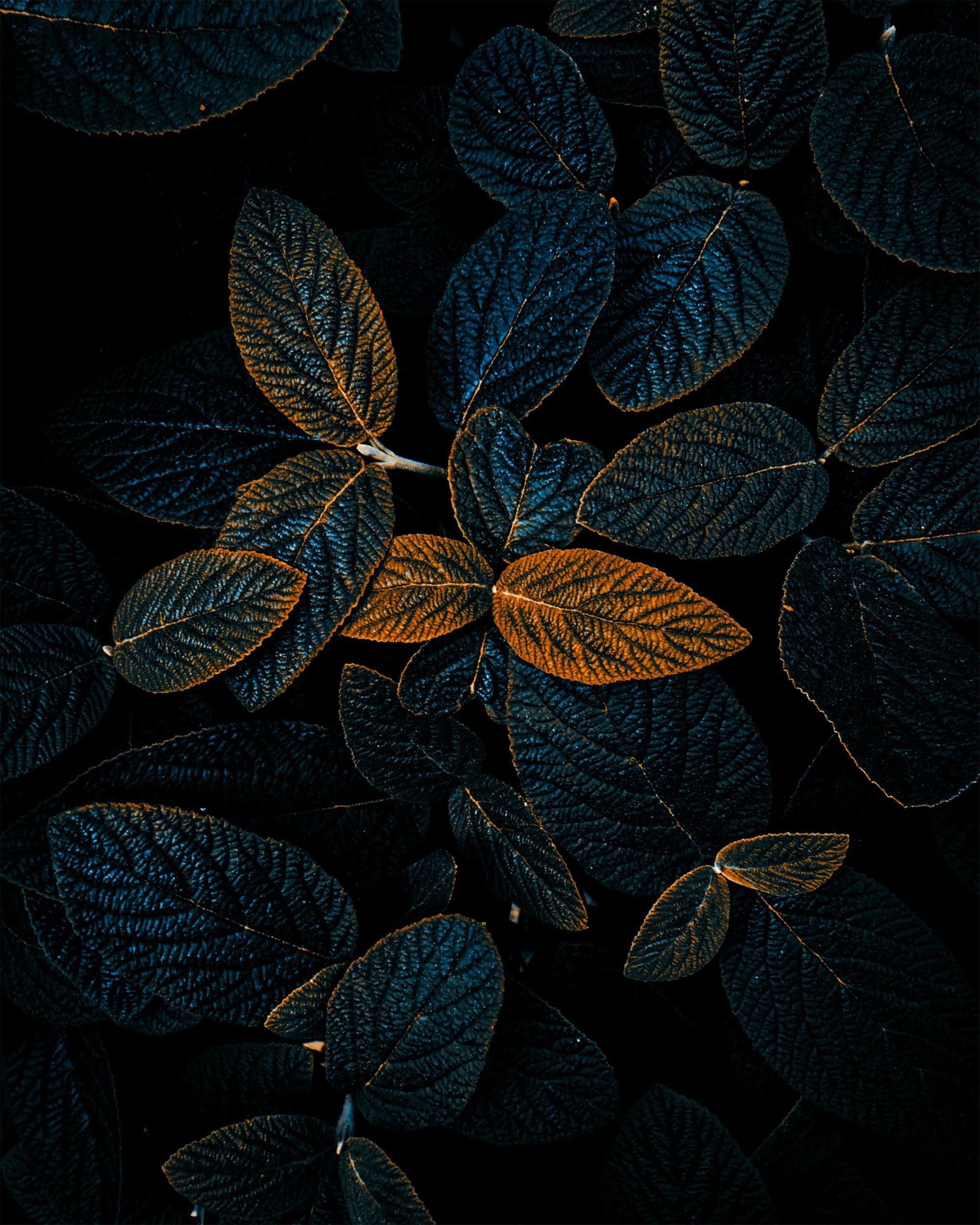 2000x2500 Dark Phone Wallpaper: Free 4K & HD Downloads