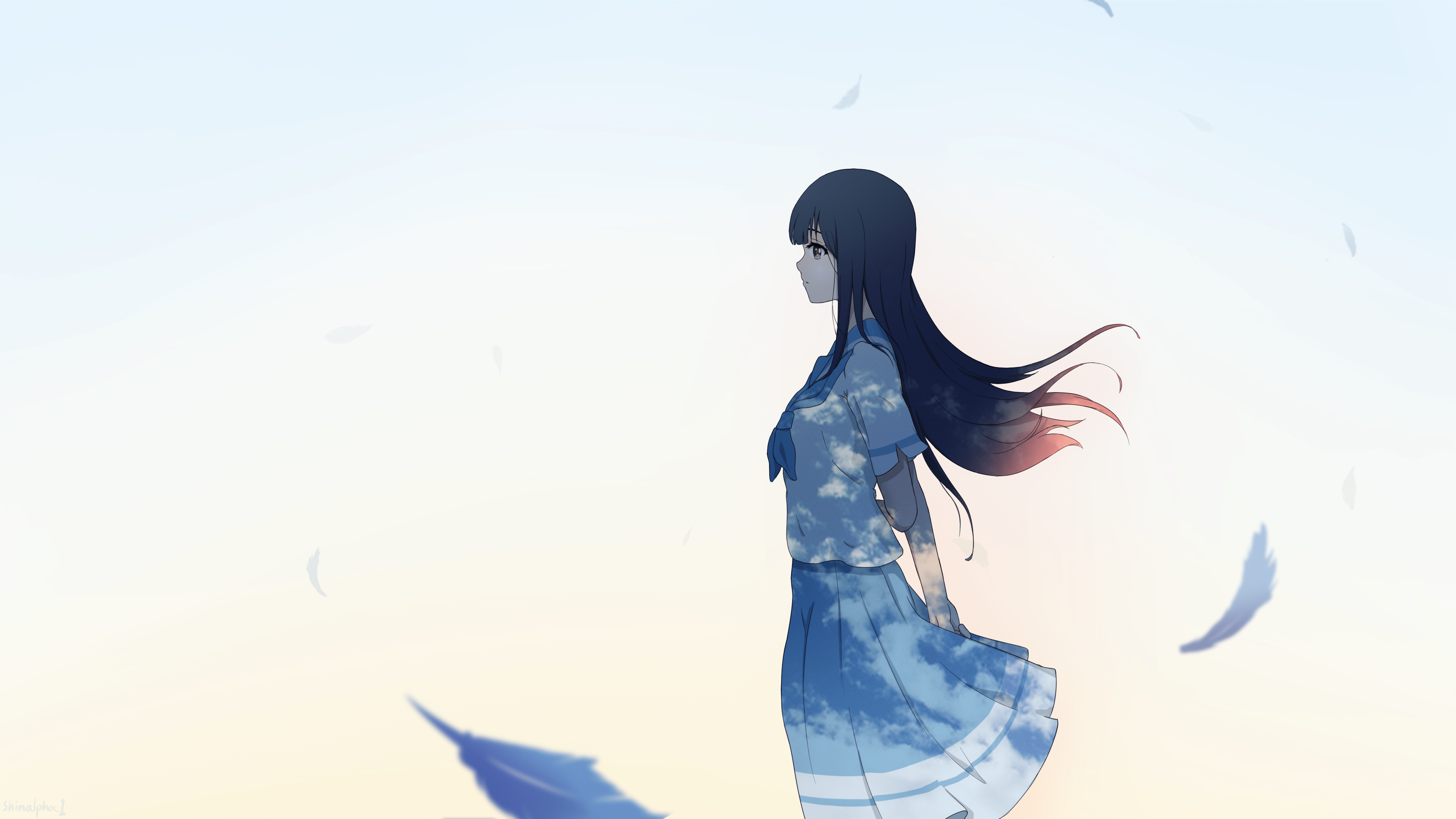 3840x2160 Blue Bird 4k Ultra HD Wallpaper