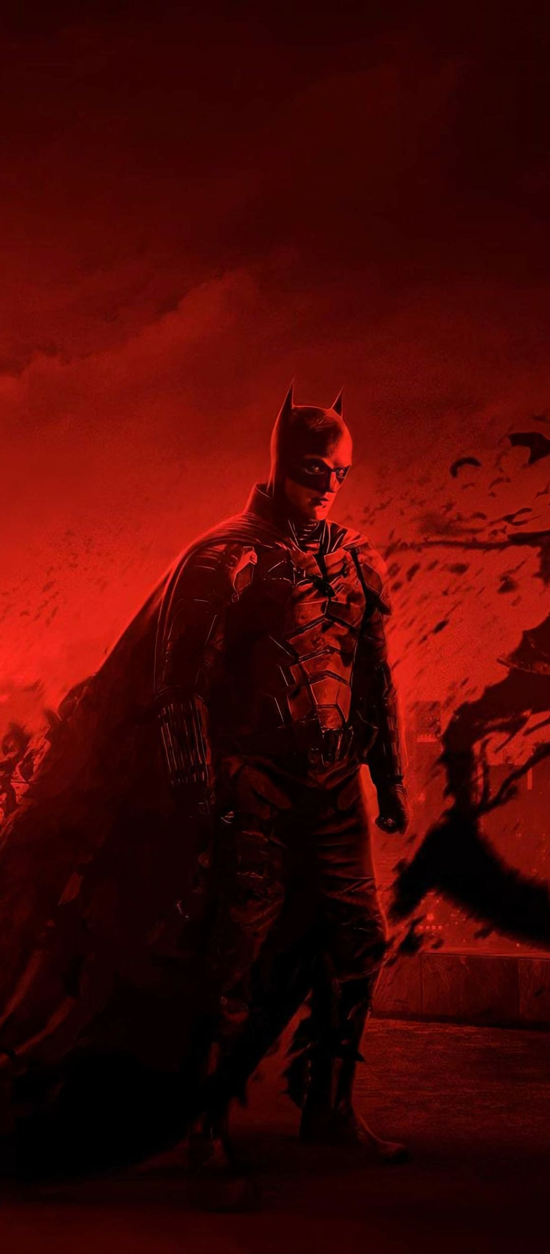 1080x2460 Mobile wallpaper: Batman, Movie, Dc