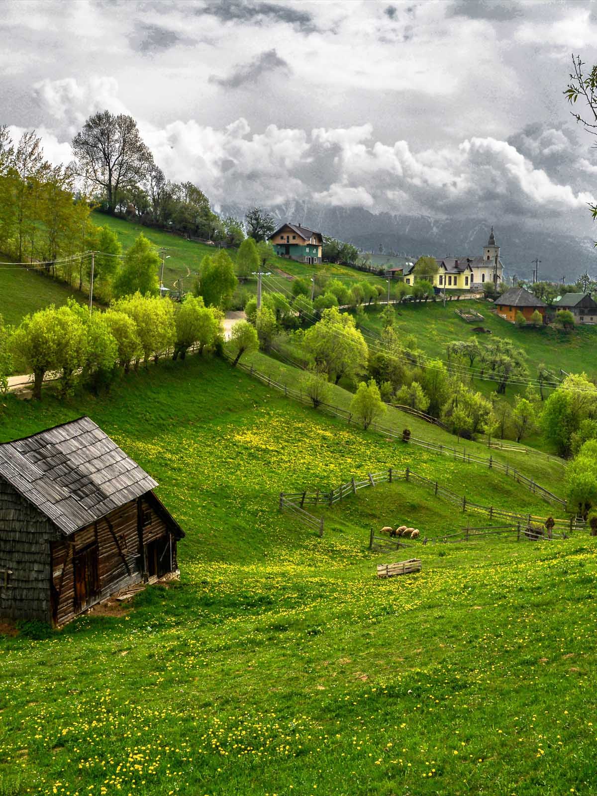 1200x1600 Green Village Wallpaper