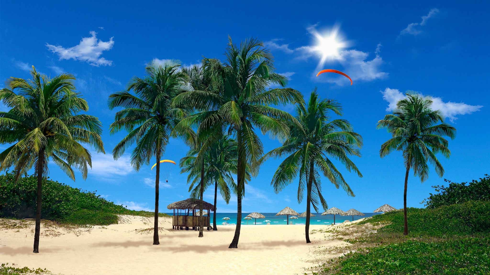 2048x1152 Real Snowfall & Beach Palms 3D là hai hình nền sống cho vân sam