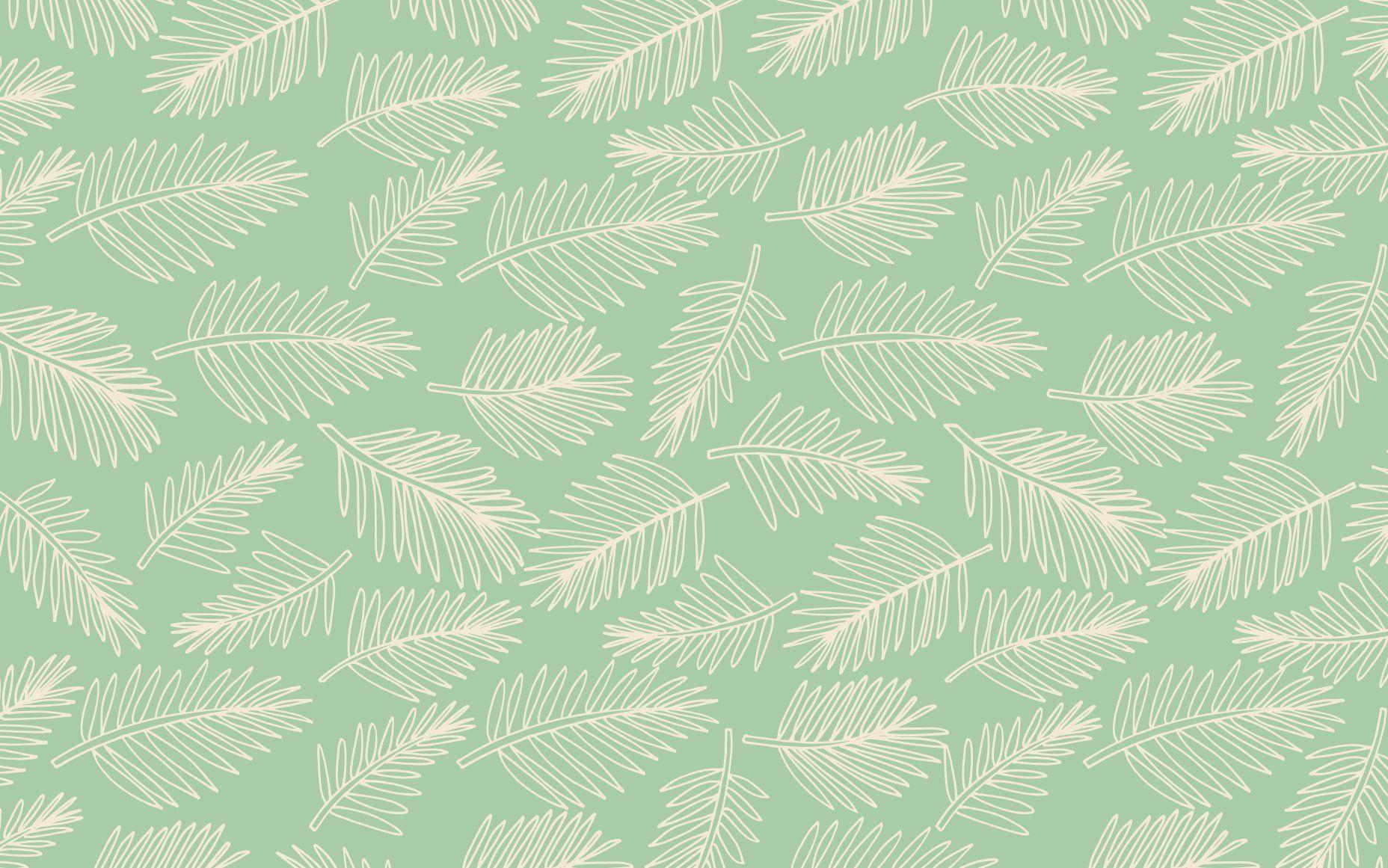 1856x1161 Desktop Wallpaper