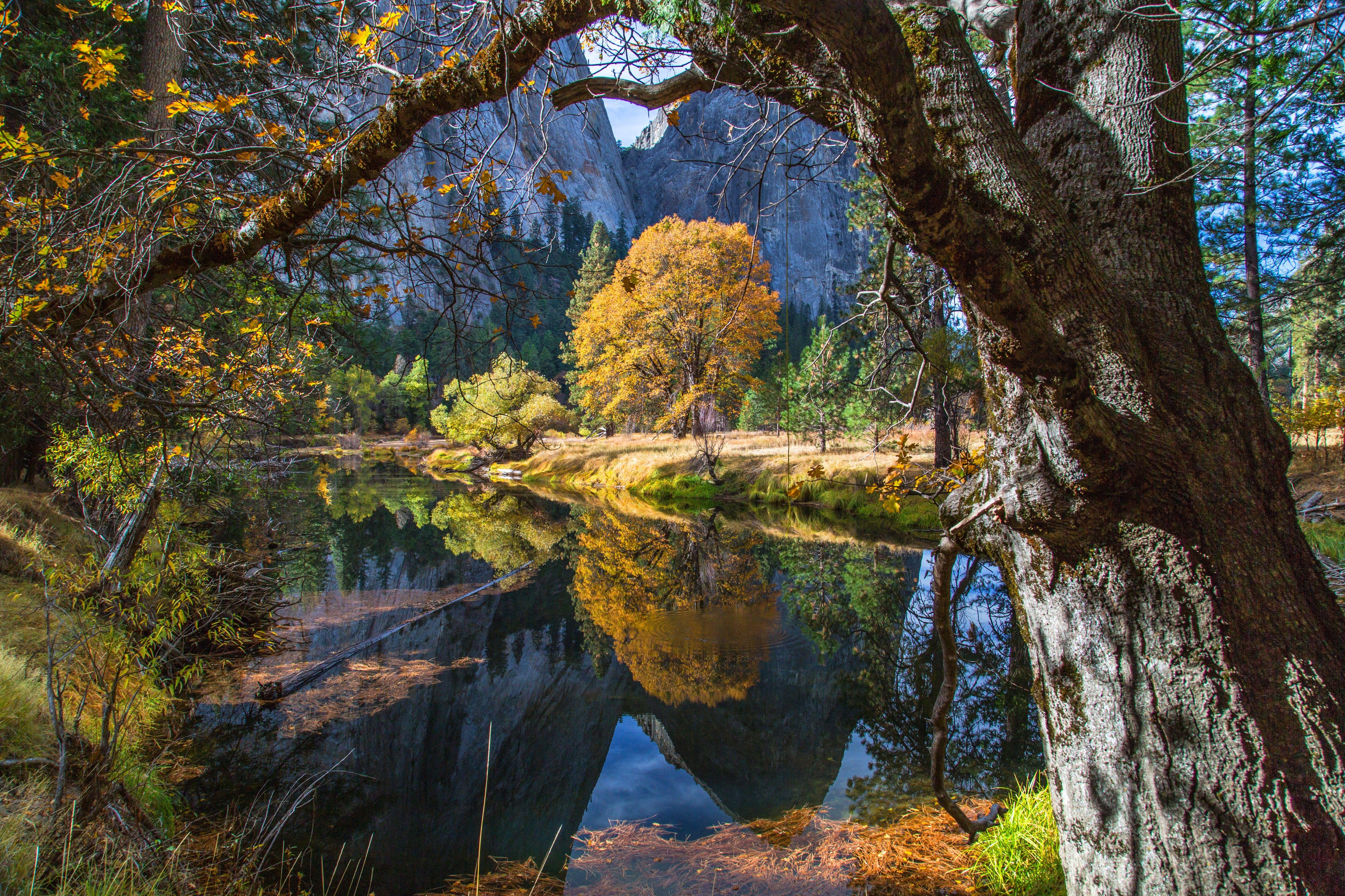 5760x3840 #OSX, #forest, k, k wallpaper, #mountains