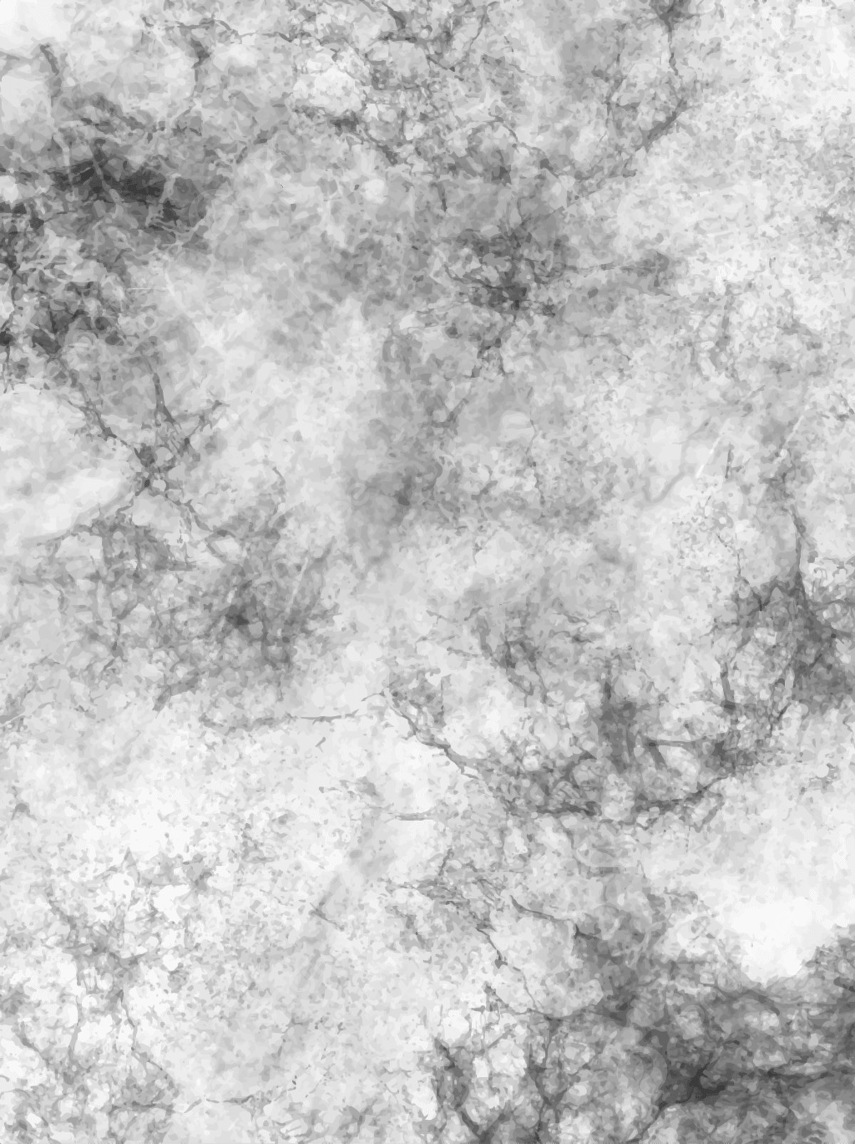 1200x1604 Original Graphic Design Vector Gray