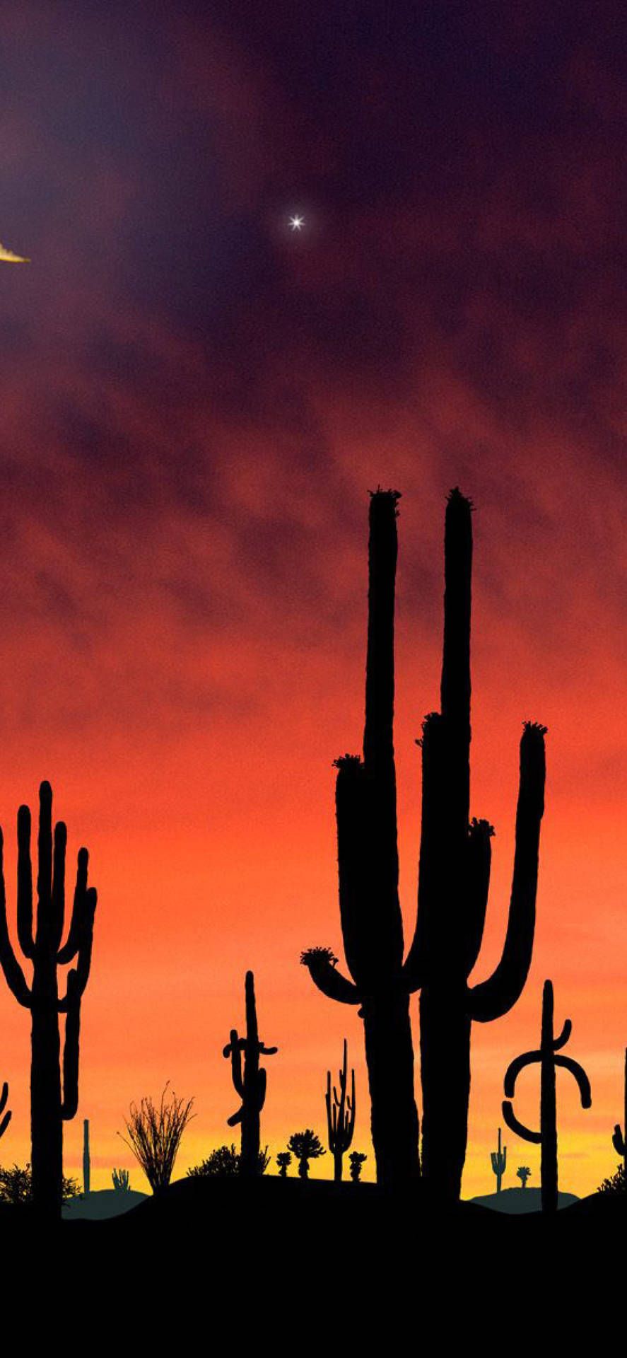 Saguaro Wallpapers - Top Free Saguaro Backgrounds - WallpaperAccess