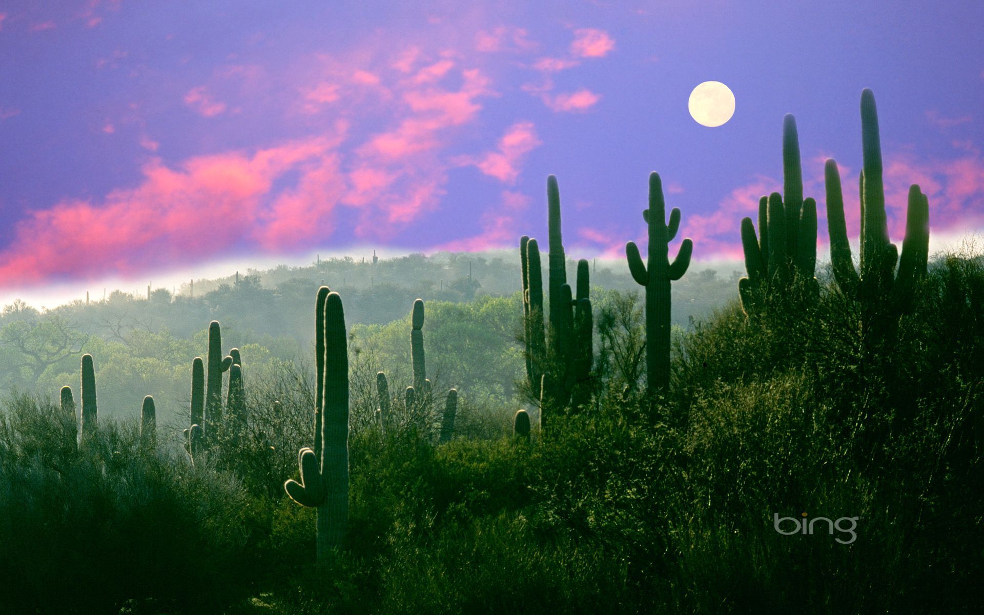 1920x1200 Download wallpaper the moon, desert, AZ