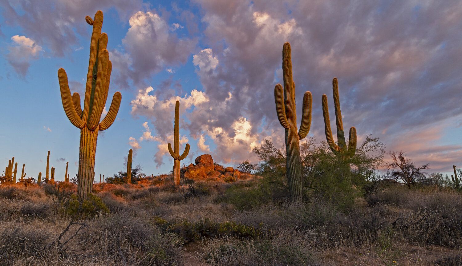1500x865 Rising Arizona Desert Landscape With