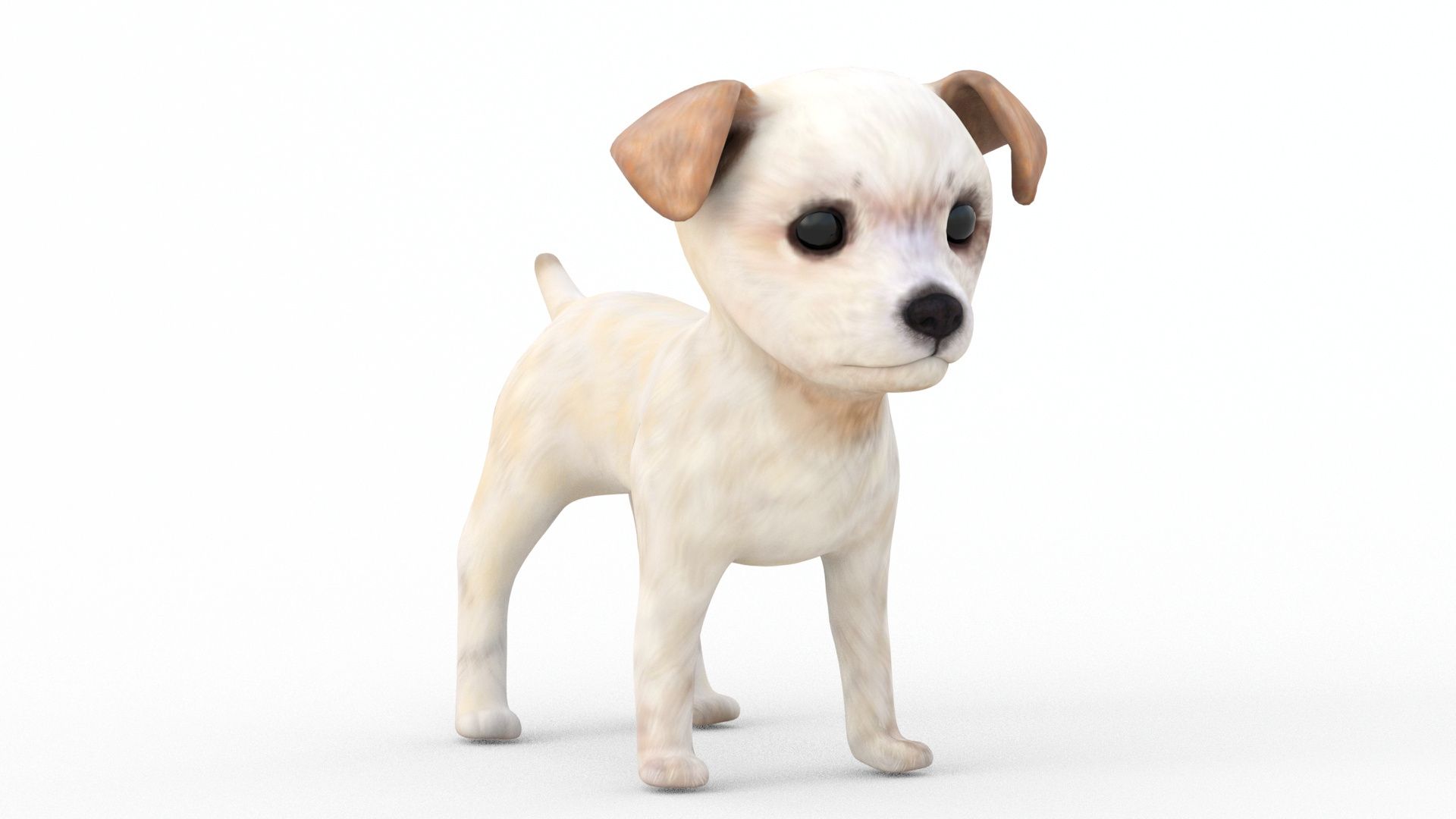 1920x1080 Maltipoo Dog Puppy 3D Model