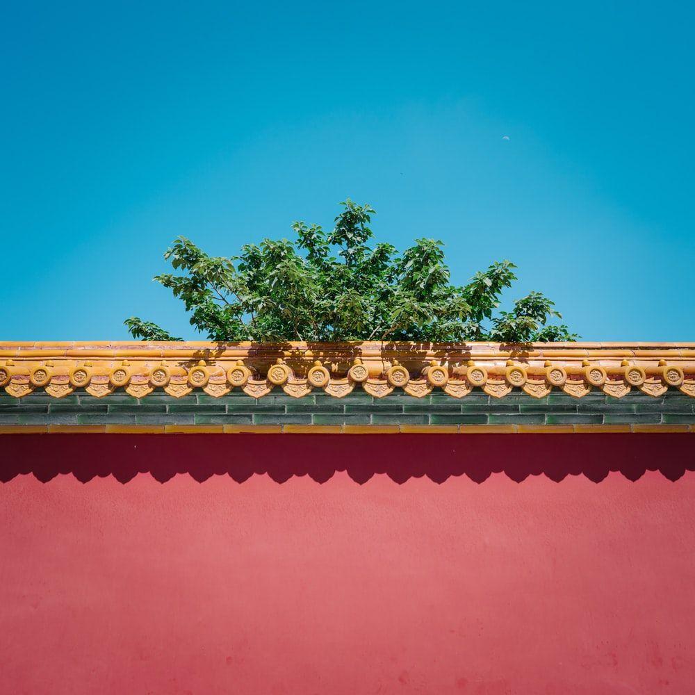 1000x1000 Forbidden City Picture. Download Free Image