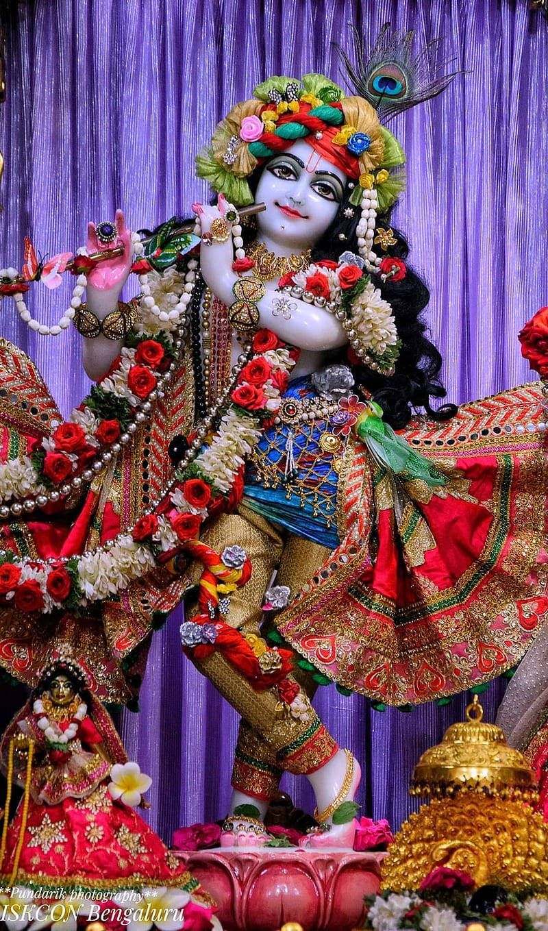 800x1359 Iskcon Wallpaper