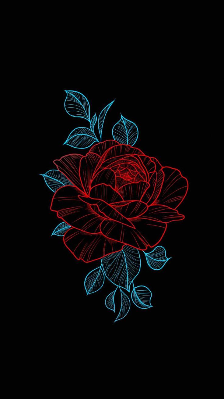736x1308 Amoled Rose iPhone Wallpaper