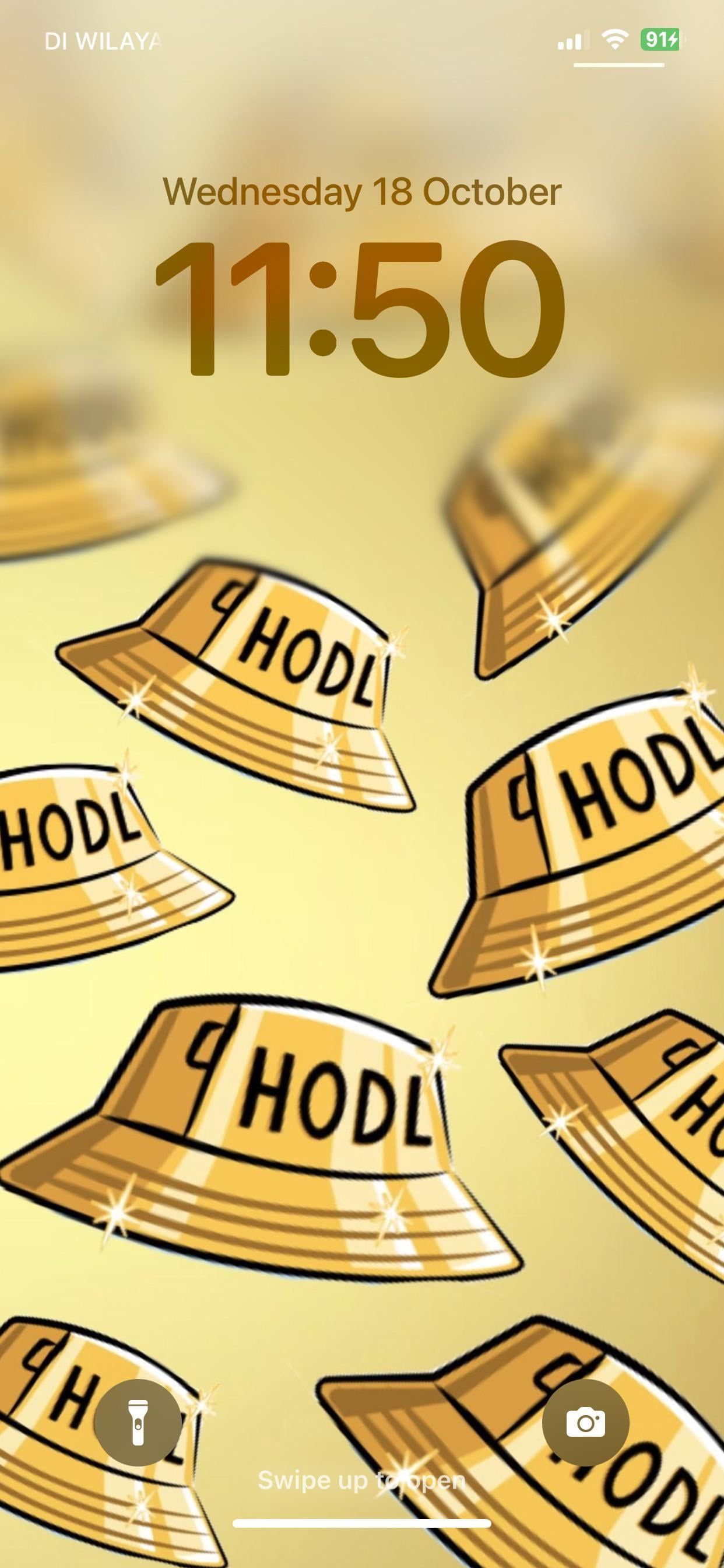 1242x2688 ⭐️HODL PHONE WALLPAPER⭐️