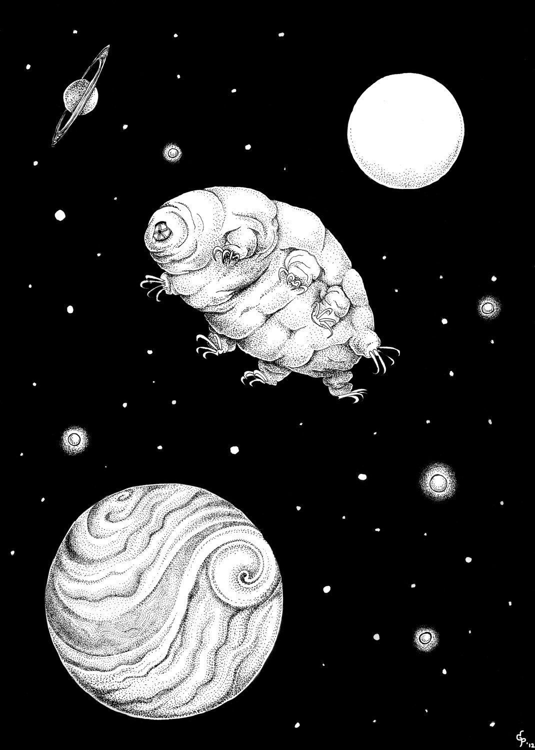 1070x1500 Pin page