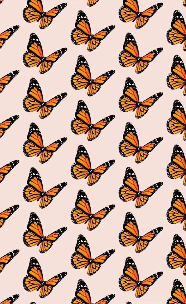  Aesthetic  Butterfly  Wallpapers  Top Free Aesthetic  