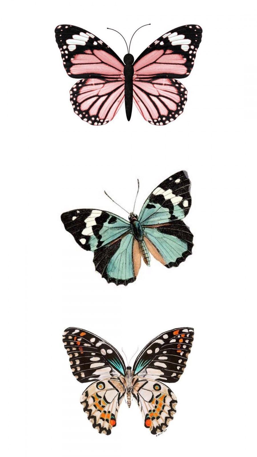 Butterfly Iphone Wallpaper Aesthetic