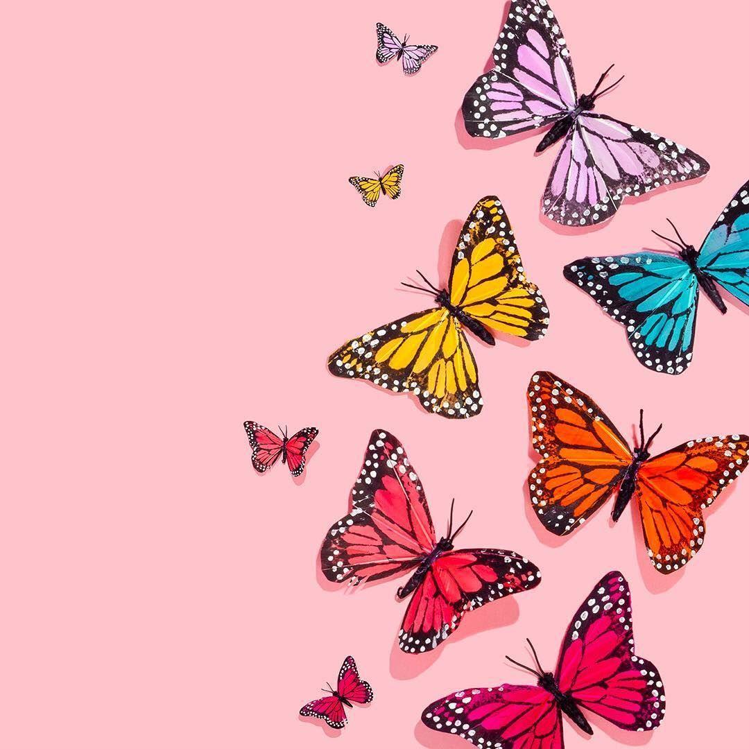 1080x1080 Content Creation by Amy Shamblen. Content Creation Social Media, Business Ti. Butterfly wallpaper iphone, iPhone background wallpaper, Aesthetic iphone wallpaper