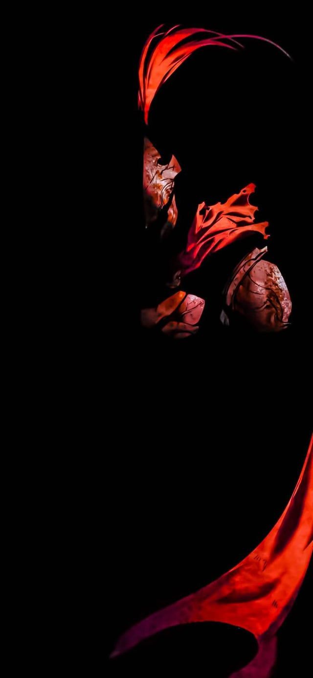 640x1386 Igris wallpaper