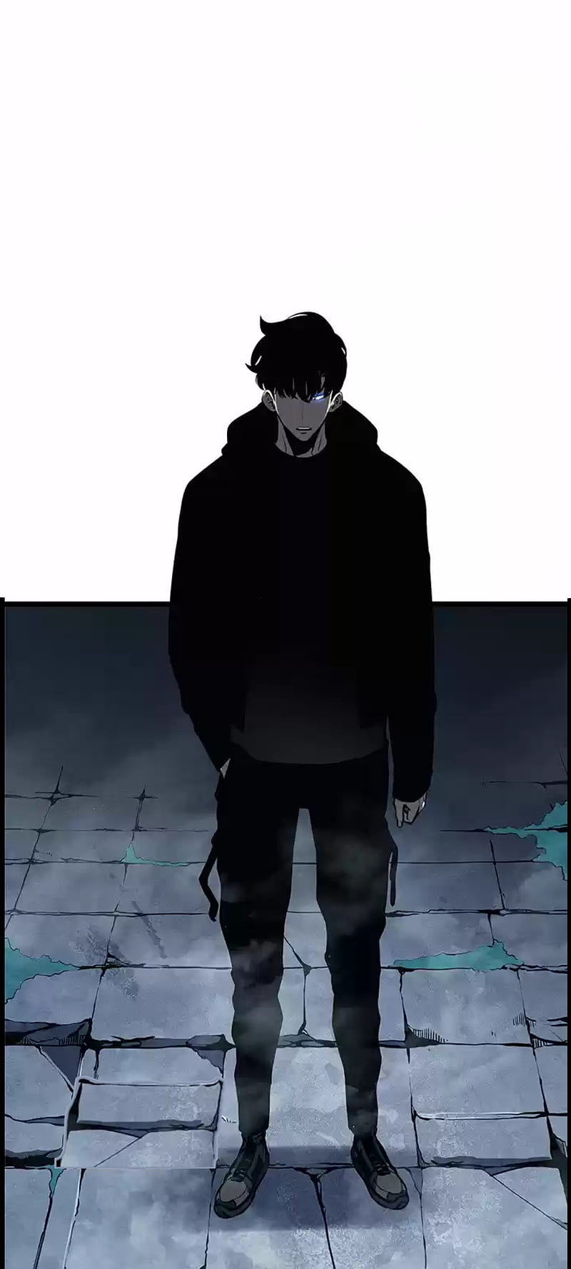 800x1778 Solo leveling, solo leveling, HD phone wallpaper