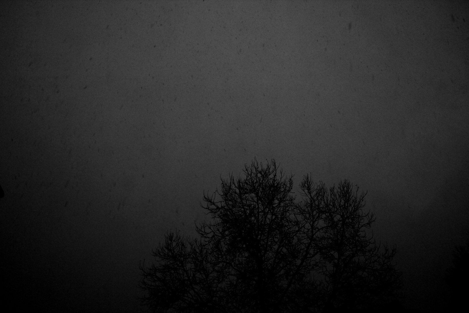 1600x1067 DSBM Wallpaper