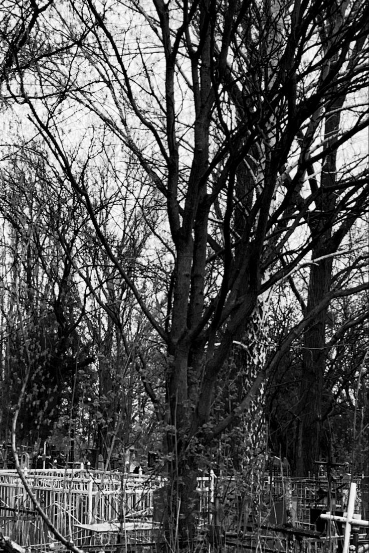 DSBM Wallpapers - Top Free DSBM Backgrounds - WallpaperAccess