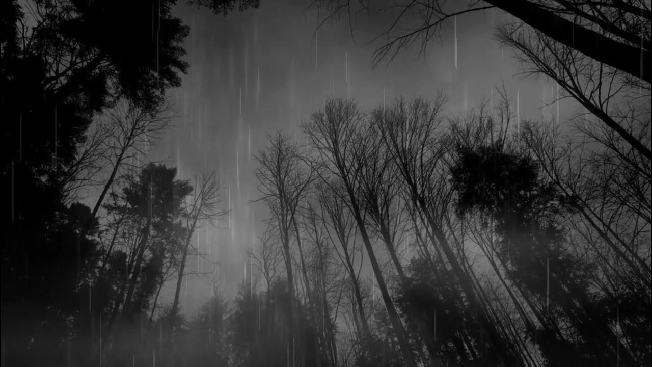 DSBM Wallpapers - Top Free DSBM Backgrounds - WallpaperAccess