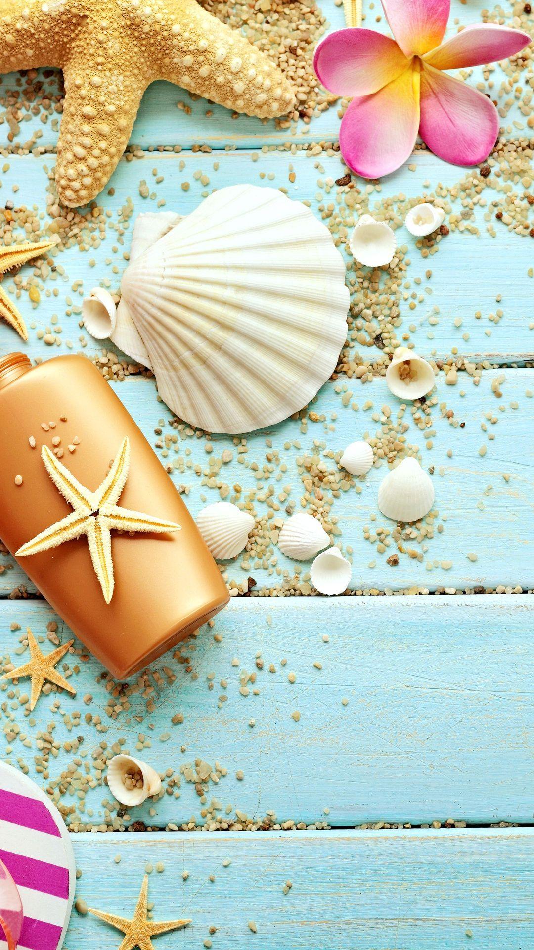 Seashell Background Images HD Pictures and Wallpaper For Free Download   Pngtree