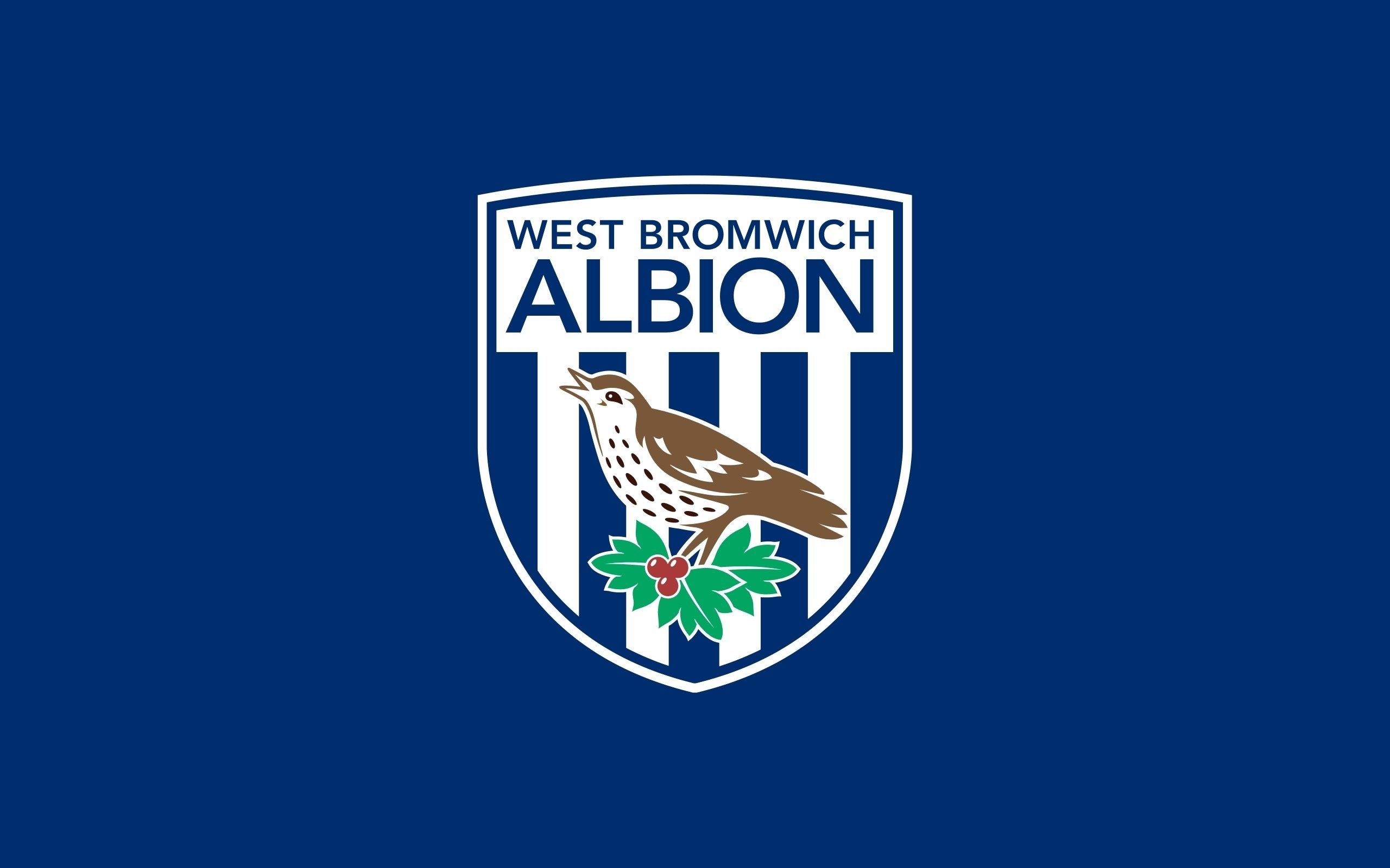 2560x1600 West Bromwich Albion F.C. Wallpaper