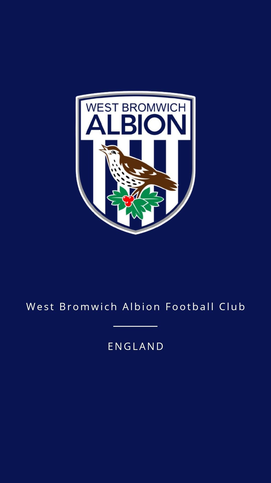 West Bromwich Albion Wallpapers Top Free West Bromwich Albion